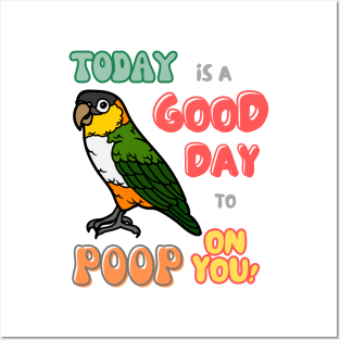 Caique Bird, Small Parrot, Parakeet, Today is a good day to poop on you Posters and Art